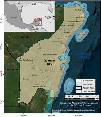 Monitoring holopelagic Sargassum spp. along the Mexican Caribbean coast: understanding and addressing user requirements for satellite remote sensing